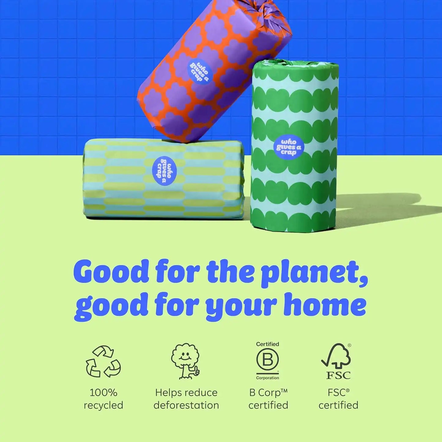 Who Gives a Crap Recycled Paper Towels, 2 Ply, 12 Rolls, 135 Adjustable Sheets per Roll, 100% Recycled Paper, Strong, Durable, Absorbent, & Sustainable, Eco Friendly With Plastic Free Packaging, White